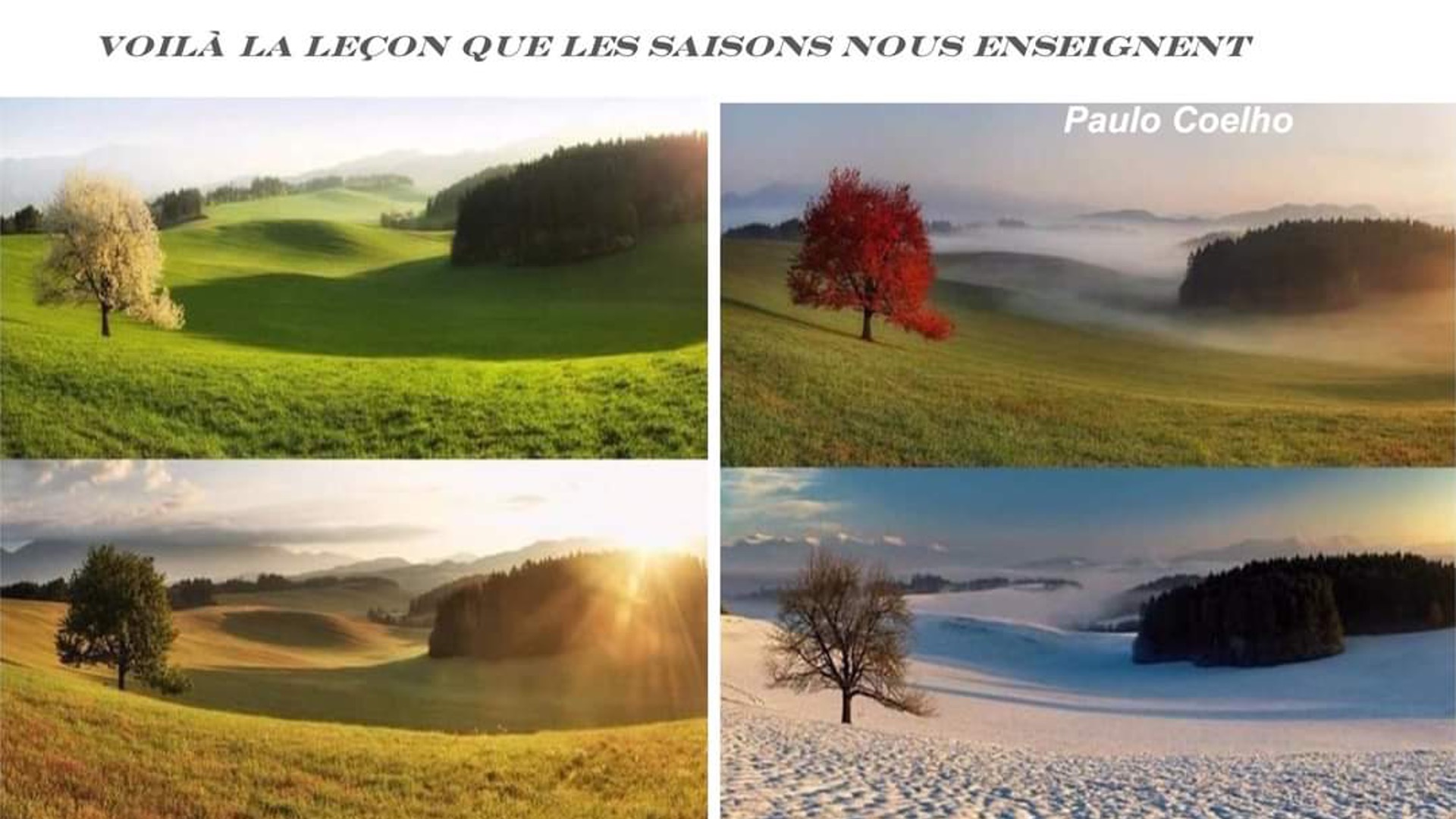 L’ART DE VIVRE LES CHANGEMENTS